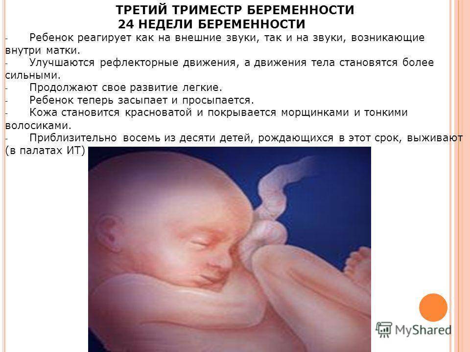Что происходит с малышом на 22 неделе беременности: сколько весит, рост, развитие