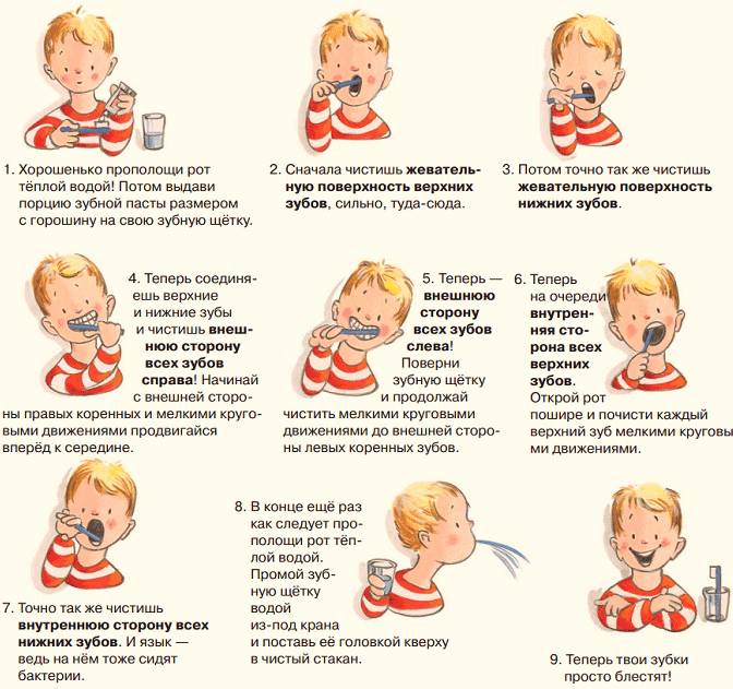 Когда начинать чистить зубы ребёнку и как правильно это делать: 9 главных вопросов и ответы врача-педиатра