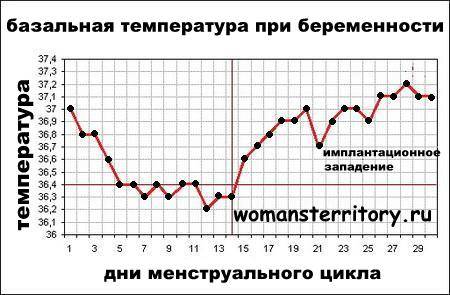 Температура при беременности: какая нормальная, что делать при температуре 37, 38 и более / mama66.ru