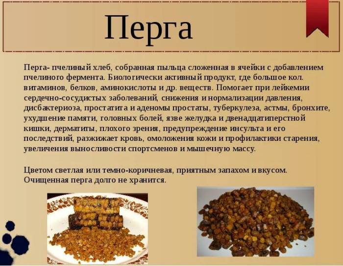Перга при беременности | уроки для мам