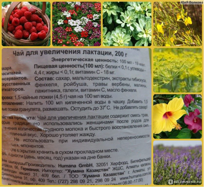 Народные средства для прекращения лактации: травы, чаи, компрессы и прочее