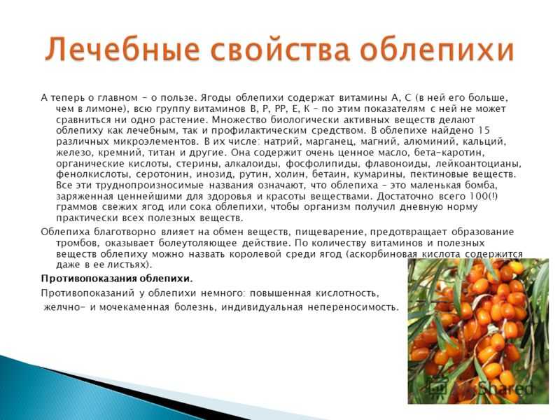 Облепиха при грудном вскармливании: можно ли есть?