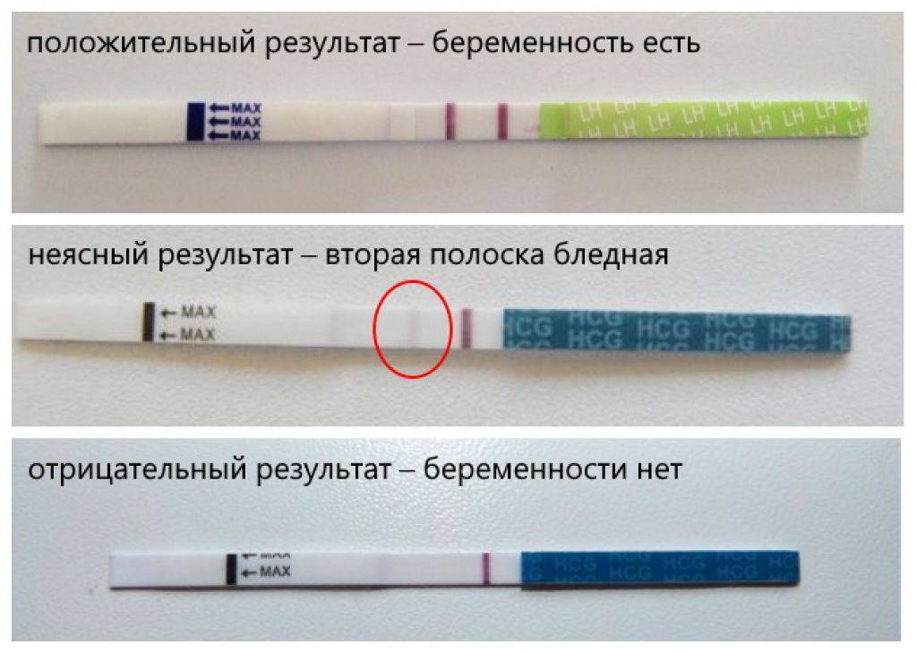 Слабая вторая полоска на тесте — что значит. почему тест показал бледную вторую полоску — беременность. беременность по неделям.