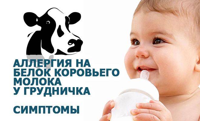 Аллергия на белок коровьего молока у грудничка: симптомы