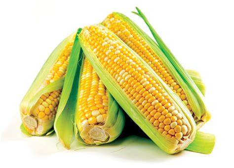 Полезные свойства кукурузы для беременных