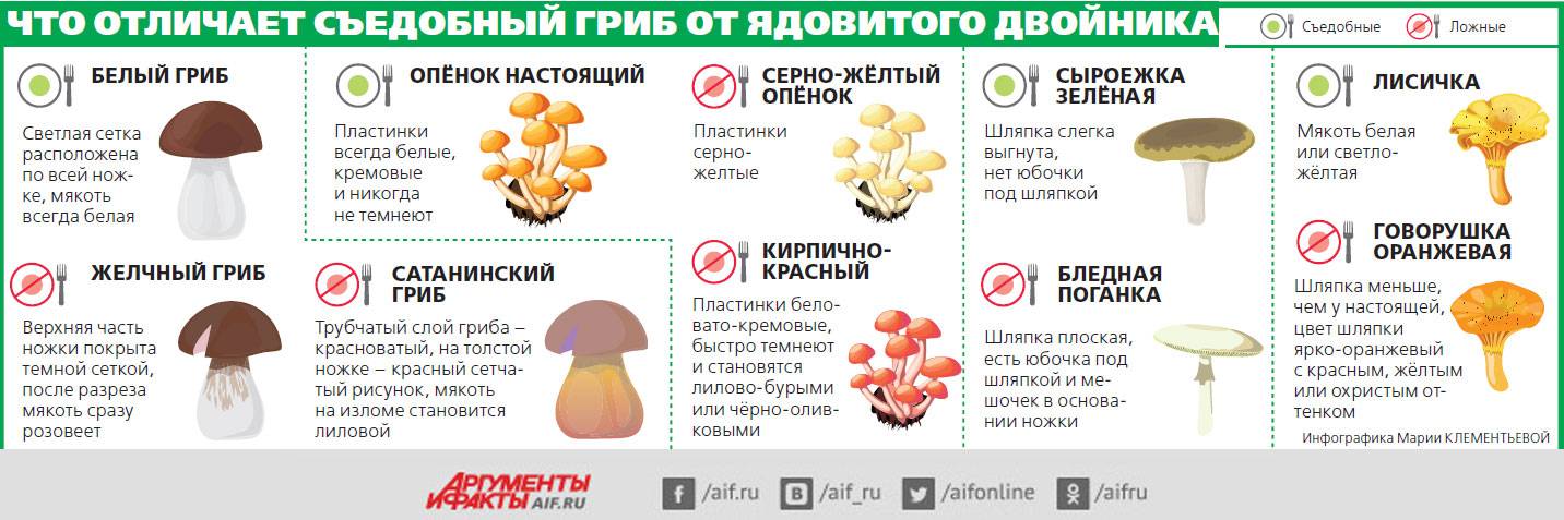 С какого возраста можно давать грибы шампиньоны детям, мнение доктора комаровского