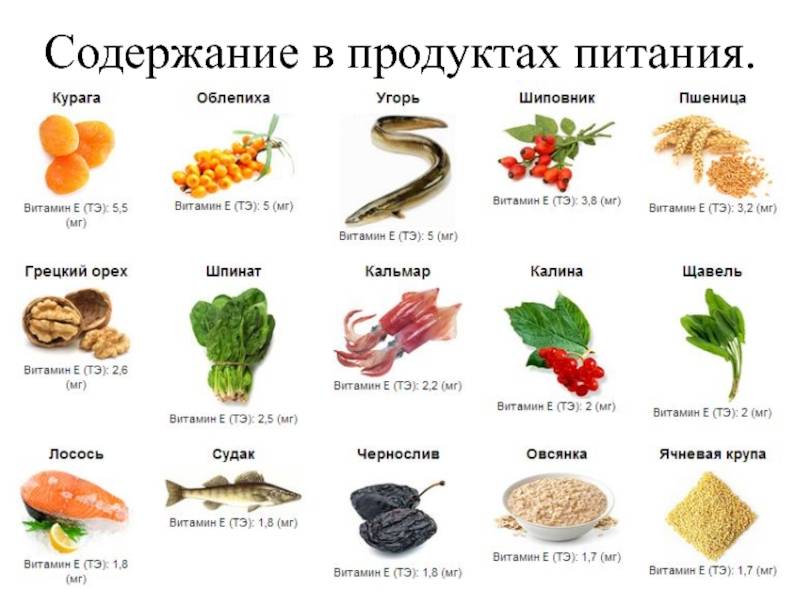 В каких продуктах содержится витамин е