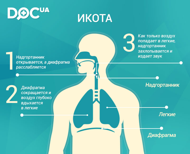 Причины икания ребенка до года: почему долгая и частая икотка, что делать
