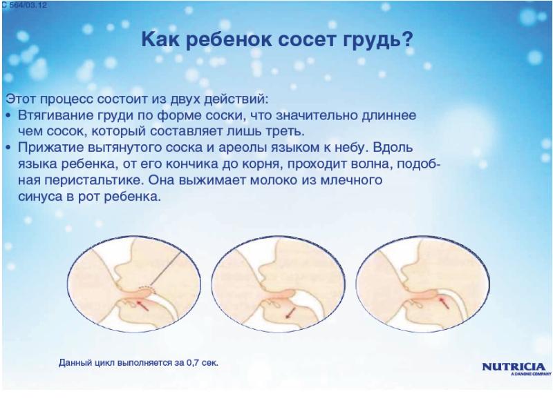 Массаж после родов: когда можно делать кормящей маме, виды (вакуумный, для похудения) и их особенности
