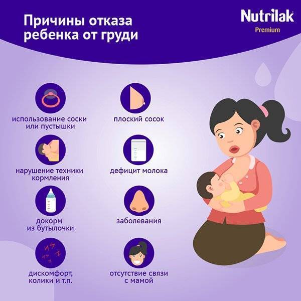 Ребенок не берет грудь | уроки для мам