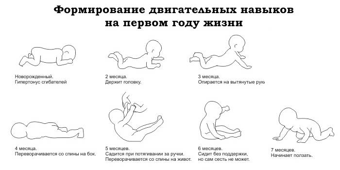 Упражнение чтобы ребенок держал голову. когда новорожденный ребенок начинает держать голову самостоятельно и как помочь малышу