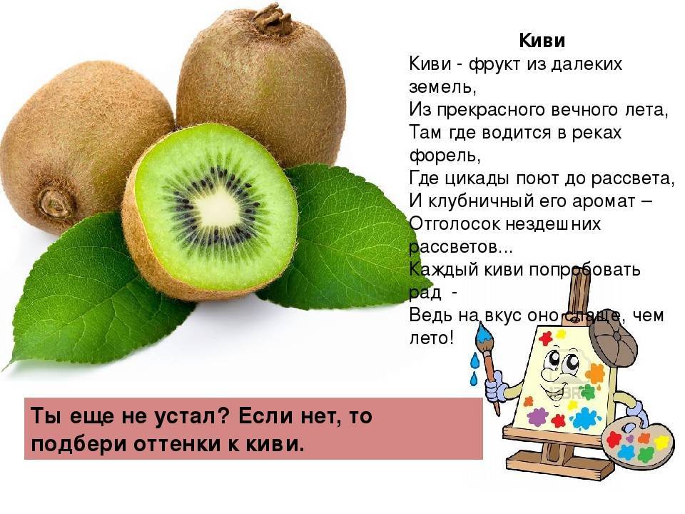 Когда можно давать киви грудничку?