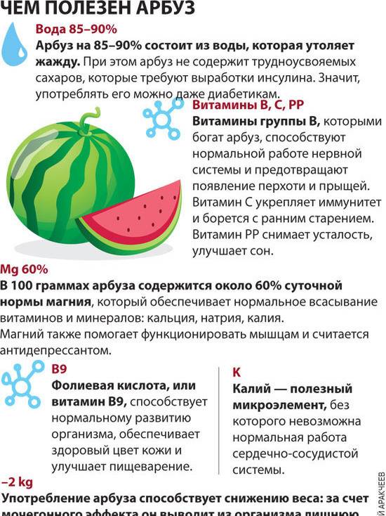 Сладкая ягода — арбуз при беременности