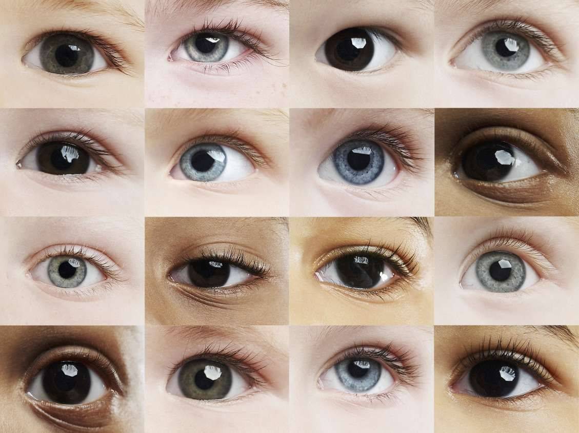 Цвет глаз у новорожденных – когда меняется окончательно