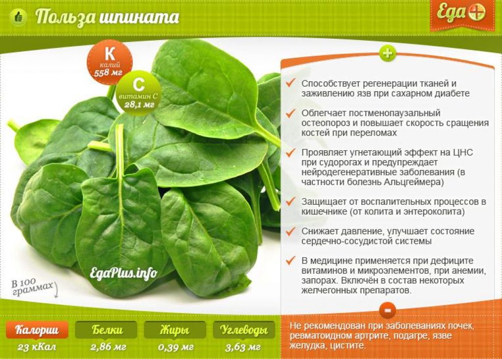 Шпинат 14 полезных свойств????, польза и вред для здоровья, исследования