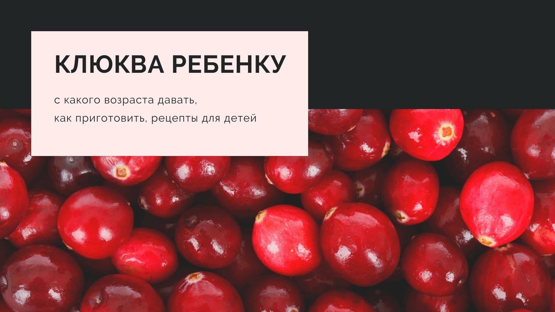 Клюква для дошкольников. Клюква детям с какого возраста. Клюквенныц морс ребёнку клюквенный с какого возраста. Клюква для детей полка.