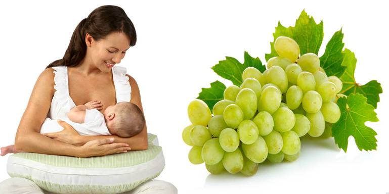 Можно кормящим виноград. Виноград при гв. Виноград при беременности. Ребенок ест виноград. Зеленый виноград при гв.