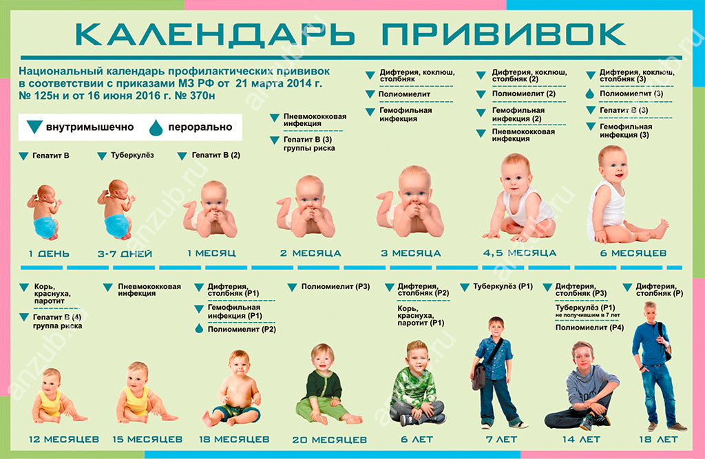 Прививки в 2 месяца ребенку: какие ставят, вакцины, график, осложнения / mama66.ru