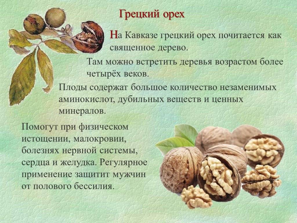 Блог от иоанныпольза грецких орехов для женщин
польза грецких орехов для женщин