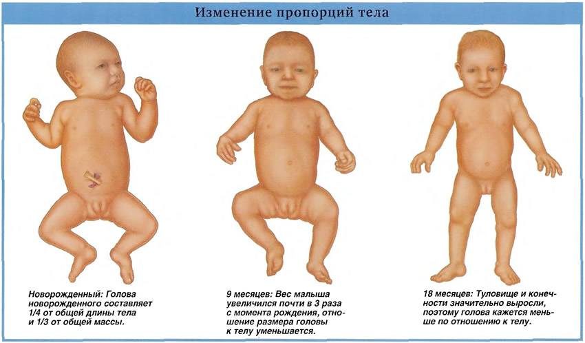 Острый баланопостит у ребенка: симптомы, фото и лечение в домашних условиях