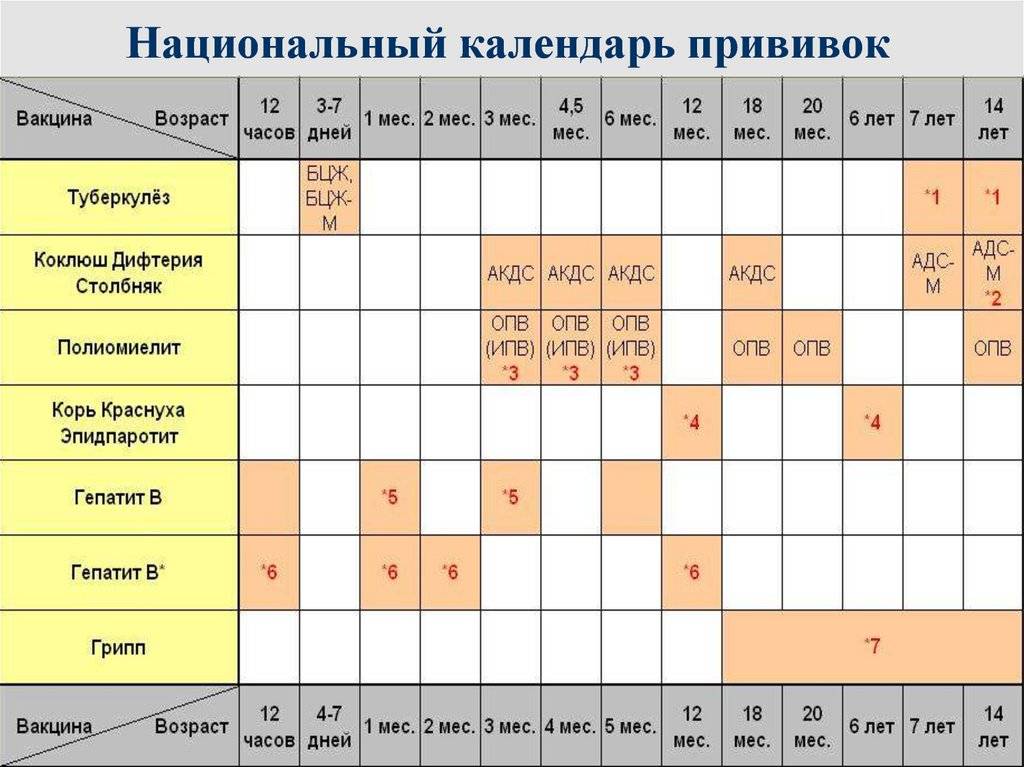 Вакцинации акдс вакциной