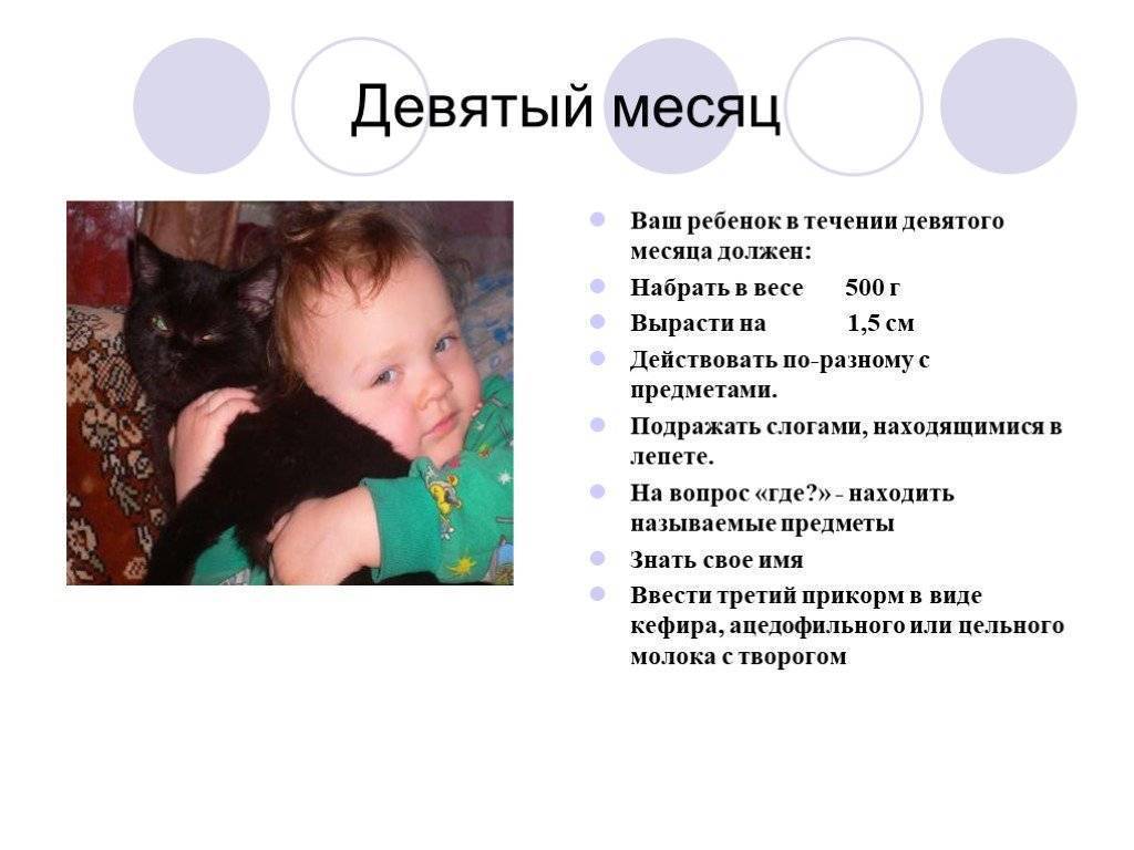 Задержка, нарушение психического развития ребенка лечение в россии