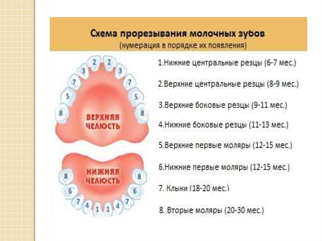 Что делать, если у годовалого ребенка кариес? причины и первые проявления, обязательно ли лечить молочные зубы?