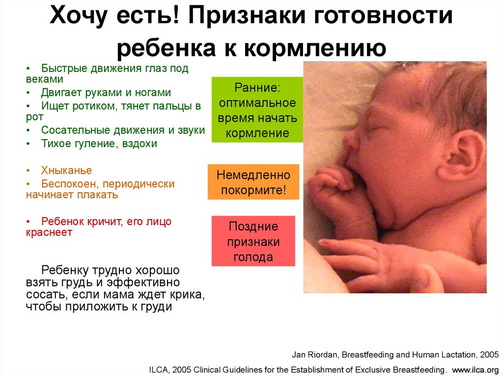 Как понять наедается ли новорожденный грудным молоком?
