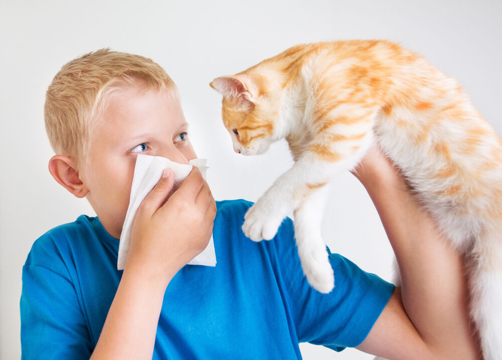 Перекрестная аллергия: причины возникновения, рекомендации аллерголога