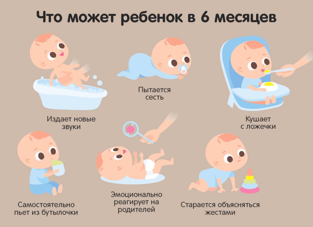 Все о развитии ребенка: месяц пятый   | материнство - беременность, роды, питание, воспитание