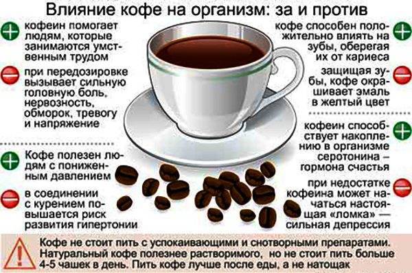 Кофе без кофеина при грудном вскармливании: можно или нет, мнение комаровского