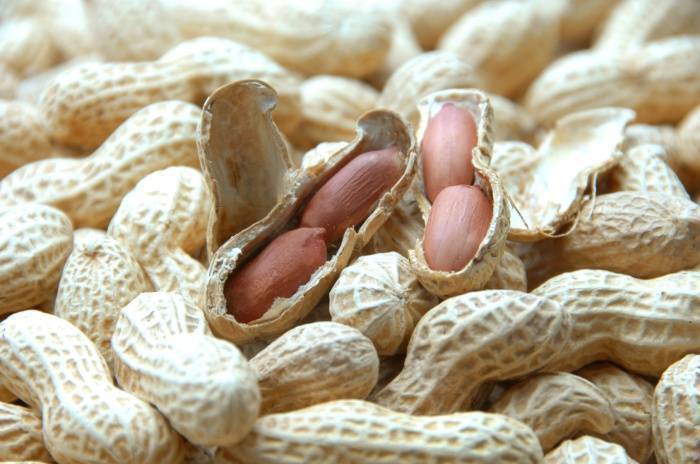 Можно ли во время беременности есть арахис, в чем польза и вред этого продукта для беременной и плода?