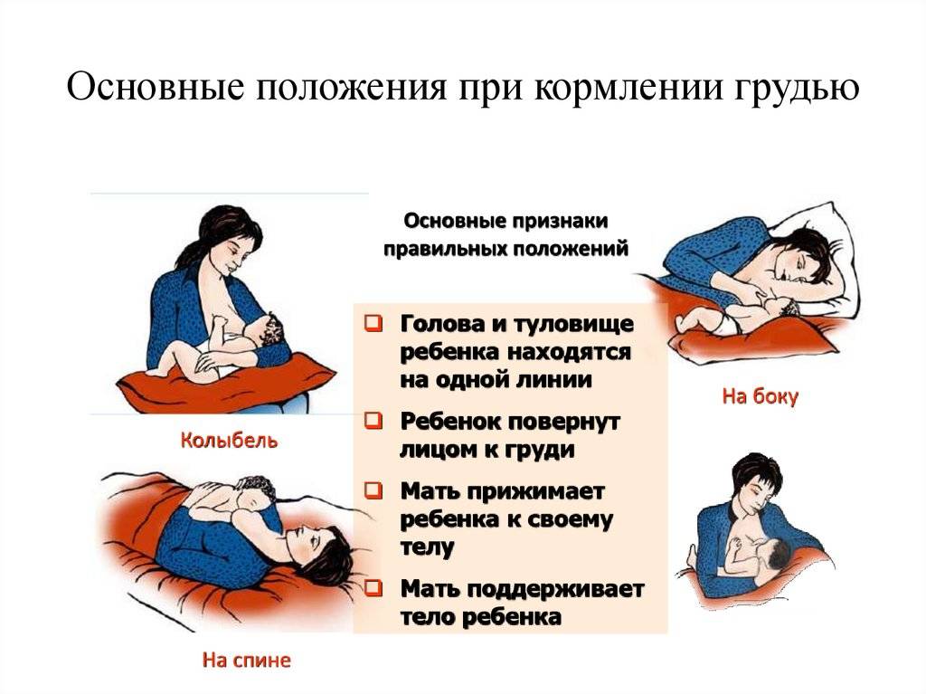 Основы успешного кормления грудью новорожденного