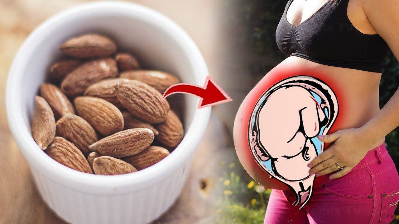 Какие орехи во время беременности полезны для организма женщины и малыша+видео