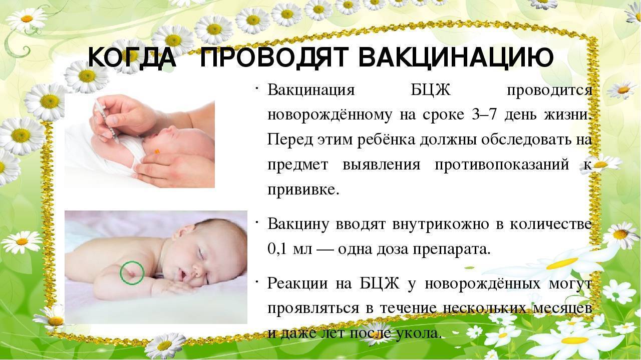 Прививки детям до года: график вакцинации новорожденных