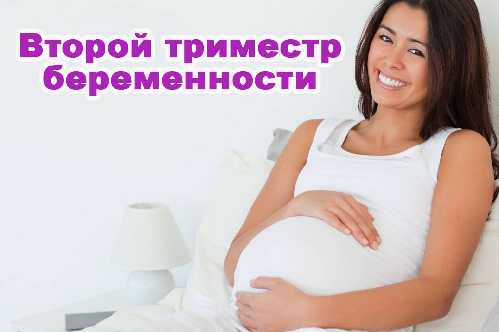 Календарь беременности. второй триместр • центр гинекологии в санкт-петербурге
