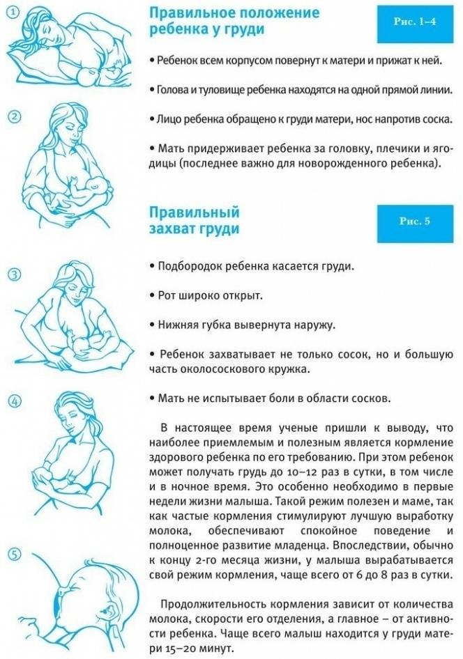 Основные правила кормления новорожденного грудным молоком
