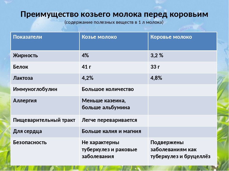 Чем полезно козье молоко. полезные свойства козьего молока