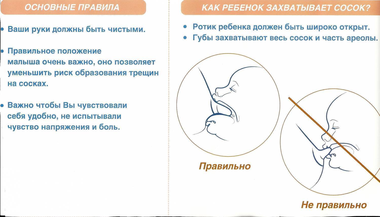 Болит грудь при кормлении ребёнка: причины боли, способы лечения и профилактические меры
