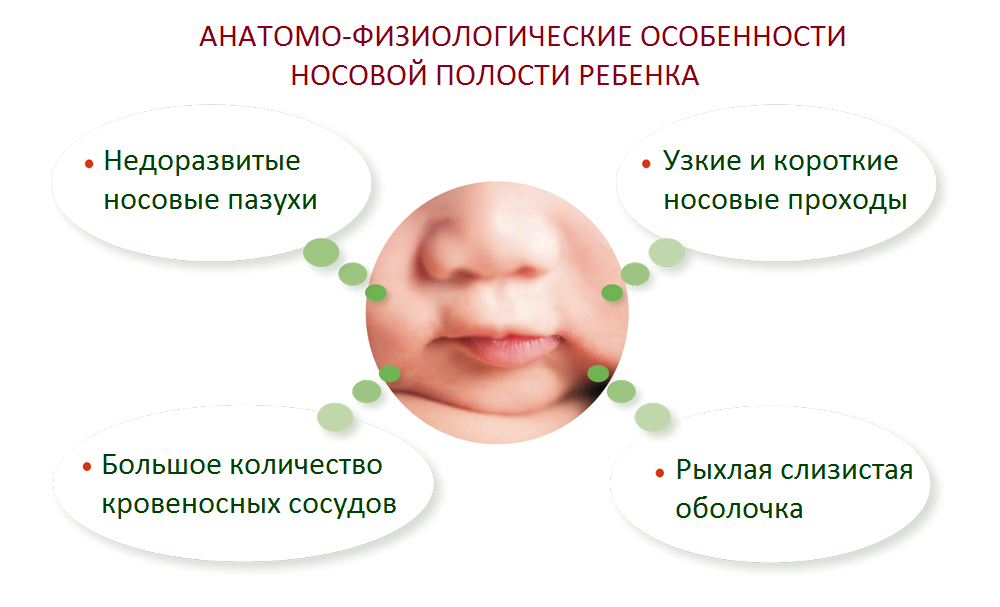 Насморк у новорожденного 2. Строение носовой полости у грудничка. Особенности строения полости носа новорожденного. Анатомо-физиологические особенности полости носа у детей. Строение ноздри у ребенка.