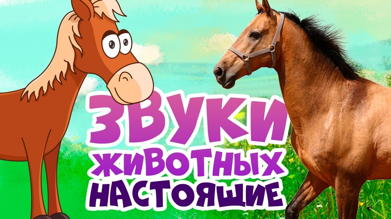Как говорят животные для малышей видео развивающий мультфильм