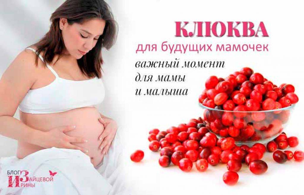 Рекомендации по употреблению клюквы маме в период грудного вскармливания и ребенку во время прикорма