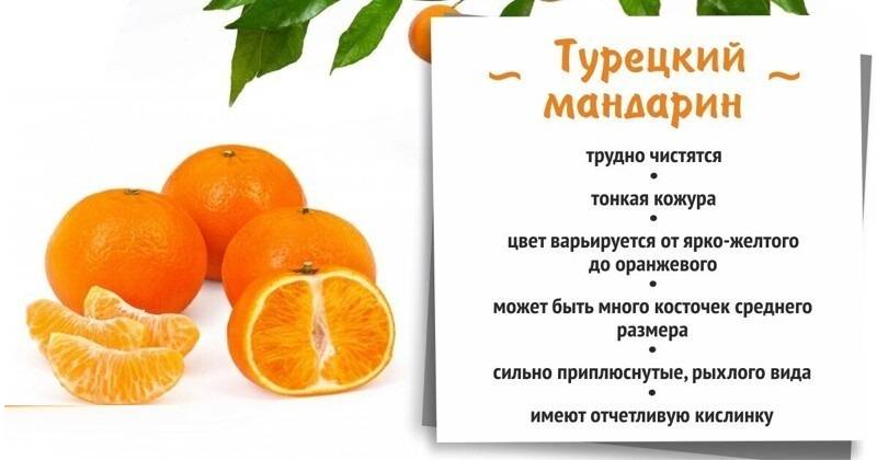 С какого возраста можно давать ребенку мандарины: советы и предостережения