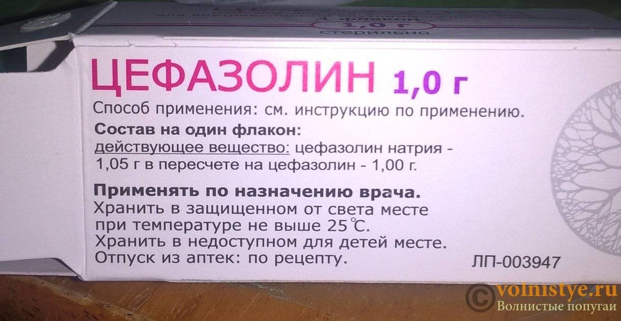 «цефазолин»: инструкция по применению уколов, как разводить и дозировка