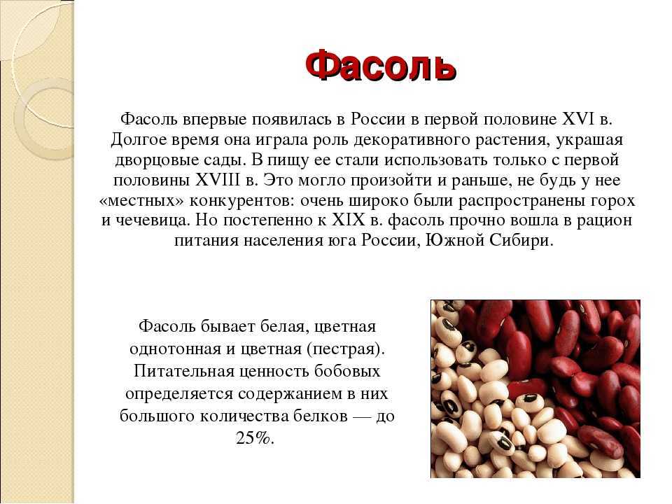Фасоль при грудном вскармливании: можно ли кормящей маме стручковую, зеленую