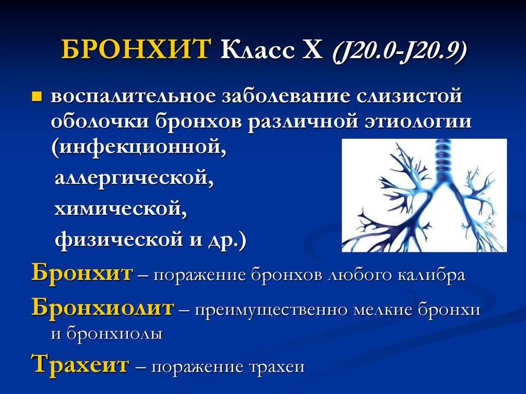 Диагностика аллергии