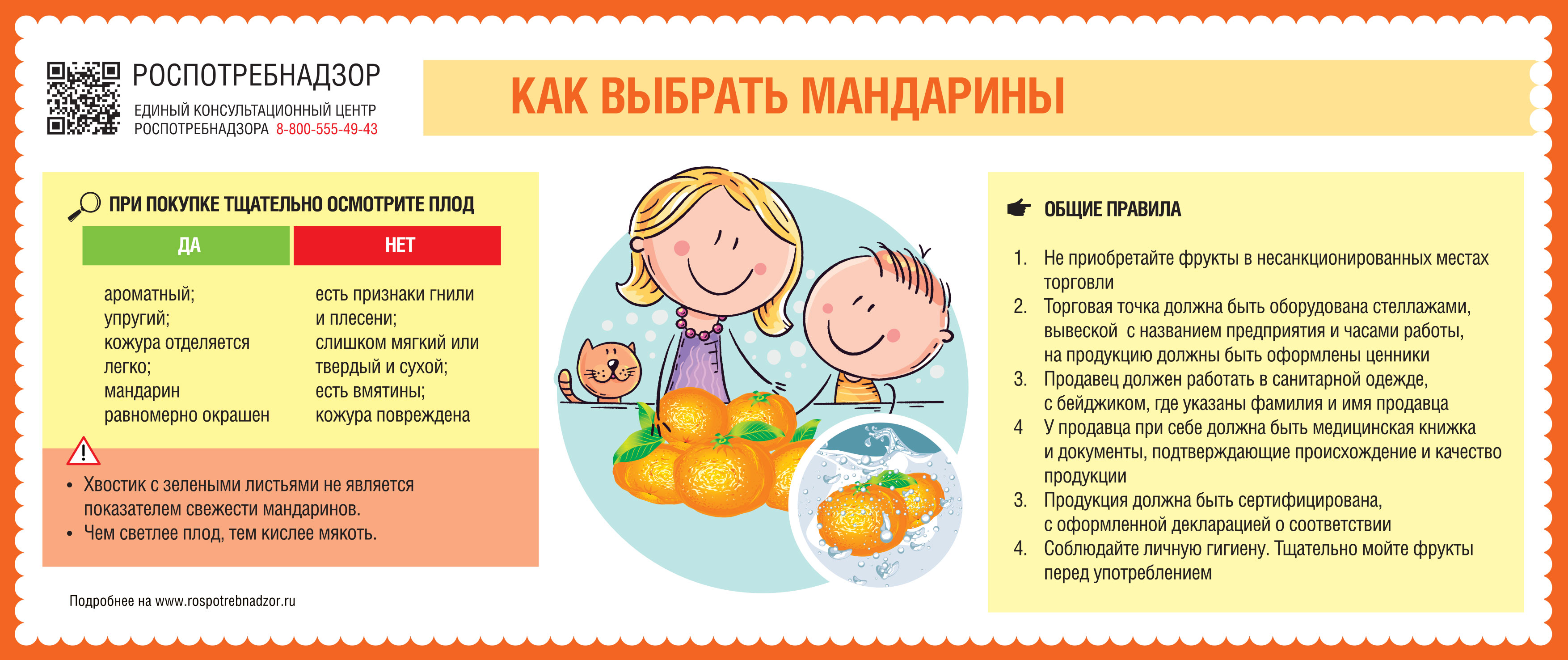 Как выбрать вкусные мандарины: шесть советов от эксперта
