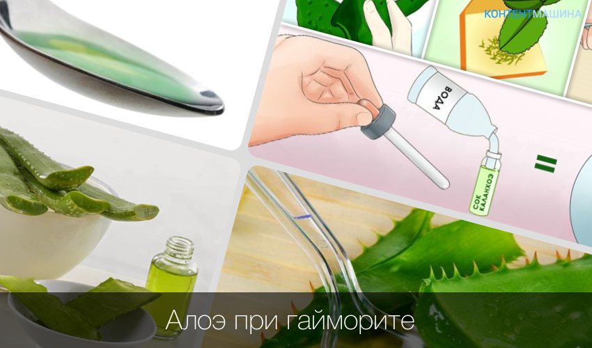 Сок алоэ от насморка для детей до года: целебные свойства, рецепты приготовления капель, побочные эффекты