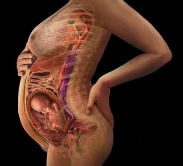 Беременность после эко: важные моменты для благополучного финала