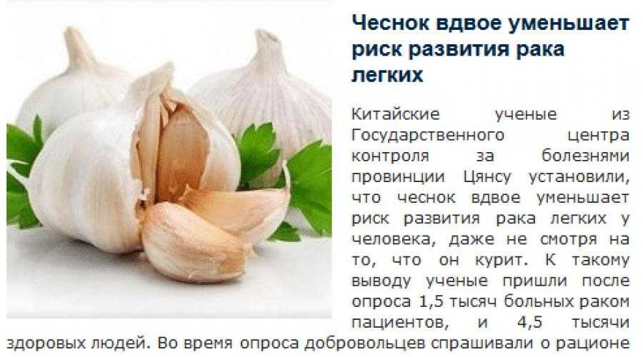 Можно ли кормящей маме чеснок?
